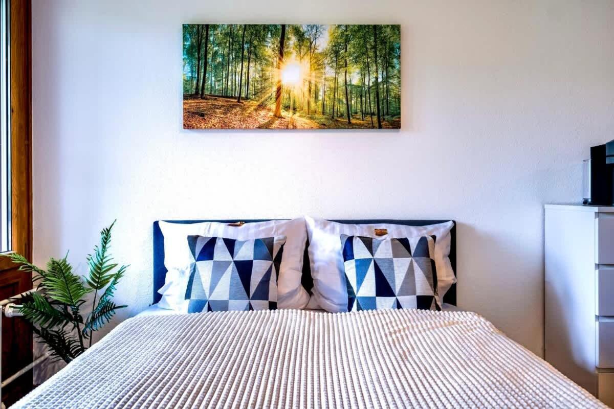 Relaxapartments Black Forest Emotion Mit Sonnenbalkon Mit Blick Auf Den Kurpark, Schnelles Internet, Naehe Triberger Wasserfaelle, Fuer Bis Zu 2 Personen Schönwalde المظهر الخارجي الصورة